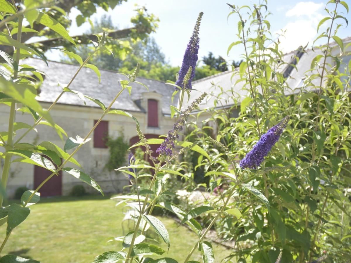 La Penesais Villa Beaumont-en-Véron Eksteriør billede