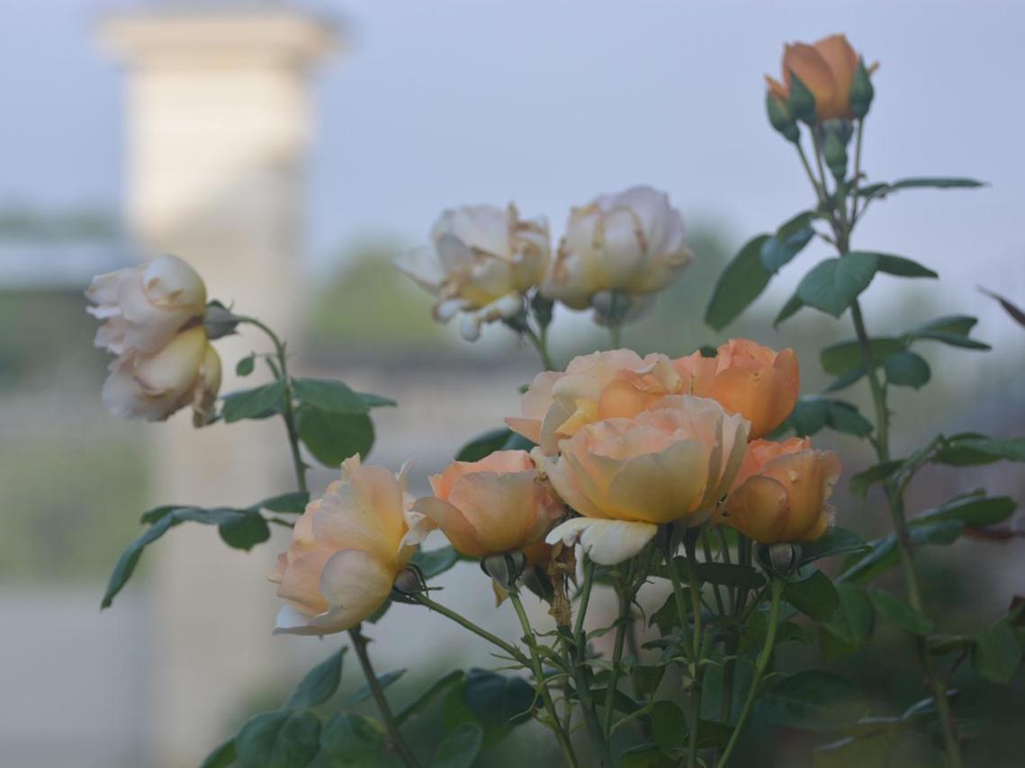 La Penesais Villa Beaumont-en-Véron Eksteriør billede